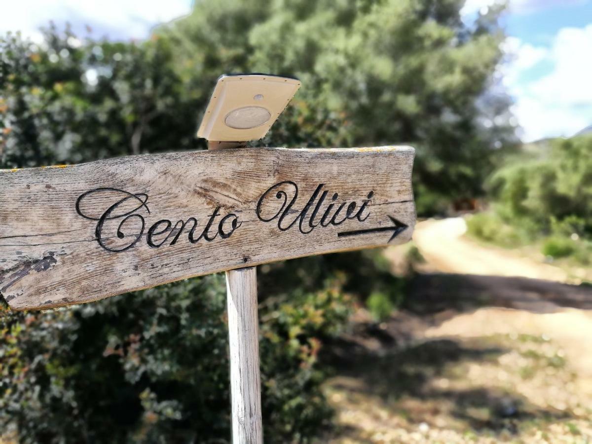 Cento Ulivi B&B Golfo Aranci Luaran gambar